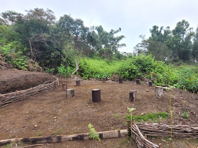 L'aire de repos avant de parvenir à la Ravine la Plaine