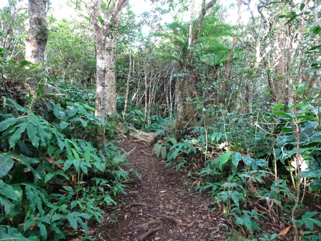 Le parcours est toujours propre et facile à suivre