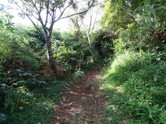 Arrivée près du rempart de la Rivière des Galets