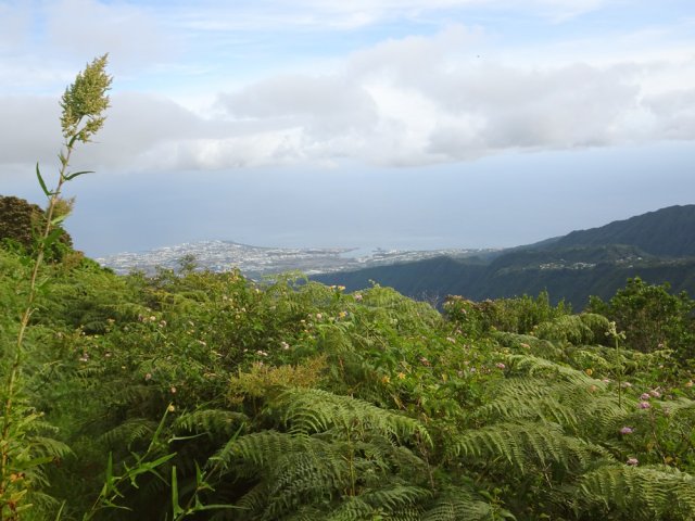 Point de vue sur le Port depuis le même endroit