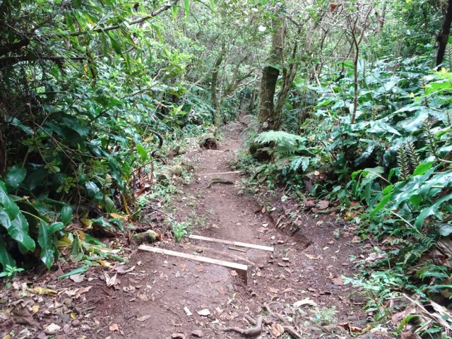 Toujours les longoses depuis le début de la boucle