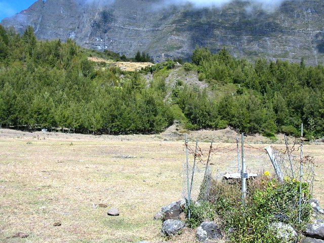 Une ancienne tombe de la Plaine aux Sables