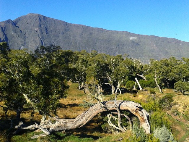Coup d'oeil sur le Grand Bénare avant d'arriver au Col des Bœufs