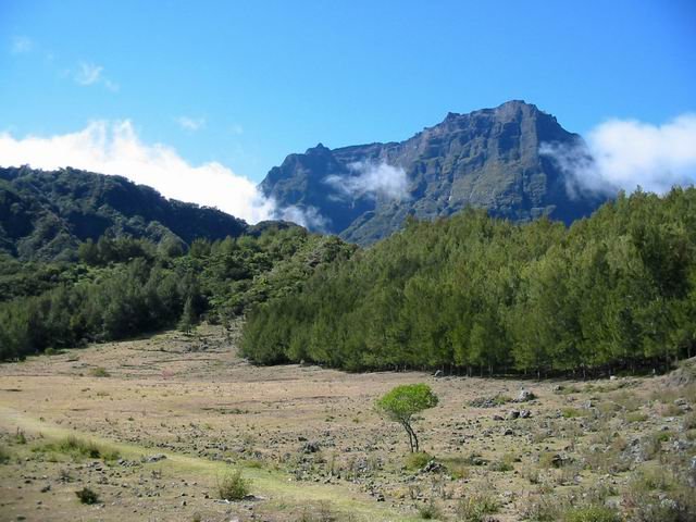 Gros Morne et Piton des Neiges vus de la Plaine aux Sables.