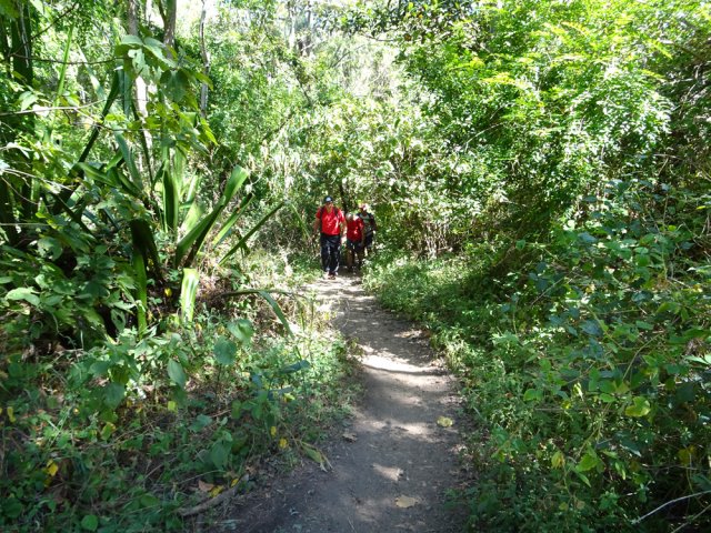 Le sentier très fréquenté remontant aux bâtiments des Anciens Thermes