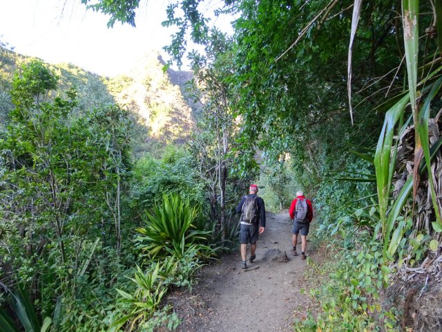 Le sentier vers la Cascade de Bras Rouge est toujours facile