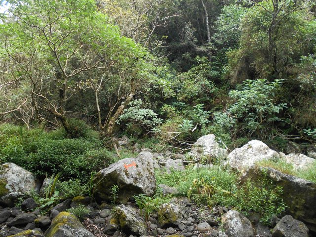 Suivre les flèches orange pour traverser le lit rocheux