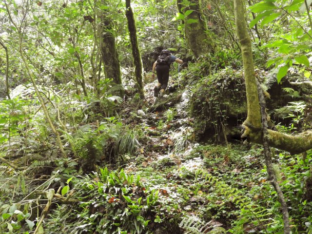 Début d'une courte mais forte montée