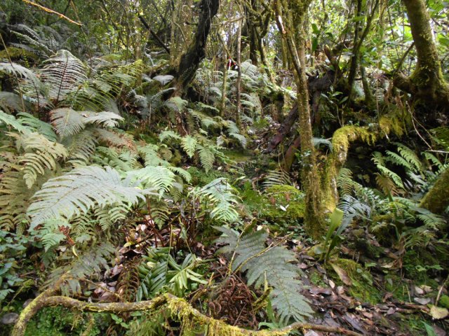Ici, il est préférable de repérer les balises en cas d'hésitation