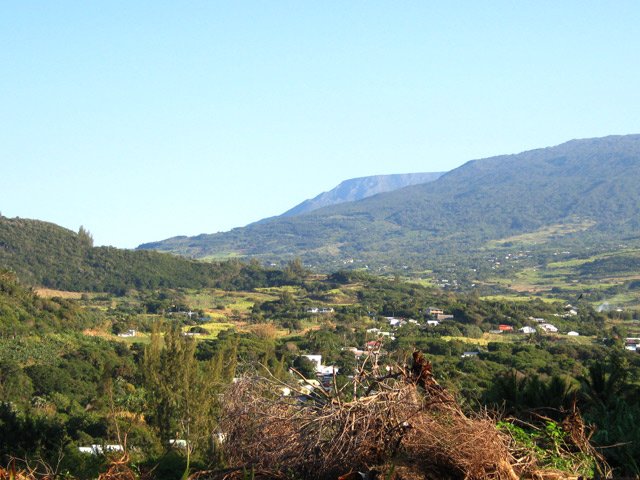 La Forêt de la Crête à partir du départ