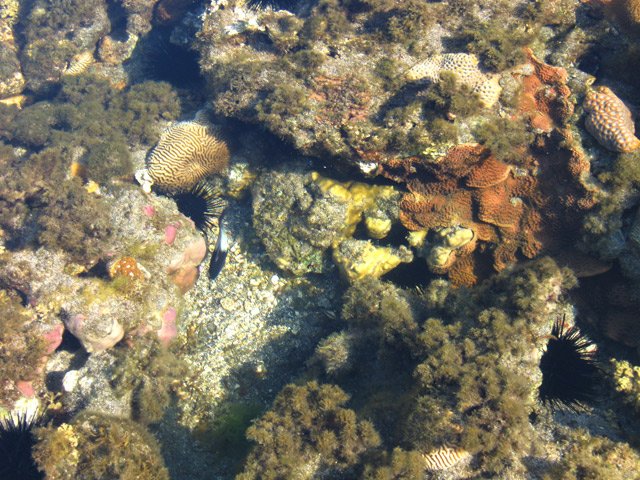 Circuit 2 : On passe parfois près de coins plus calmes