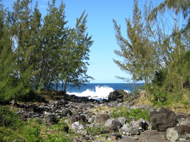 Circuit 2 : Arrivée au Bras Creux vers le Cap Méchant
