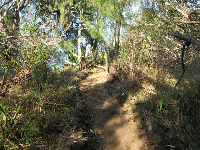 Le sentier se poursuit vers le littoral