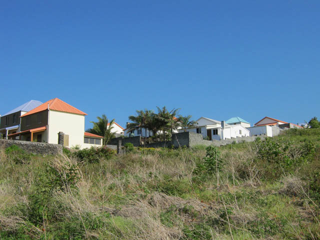 L'arrivée au lotissement dans un champ couvert de tomates cerises abandonnées