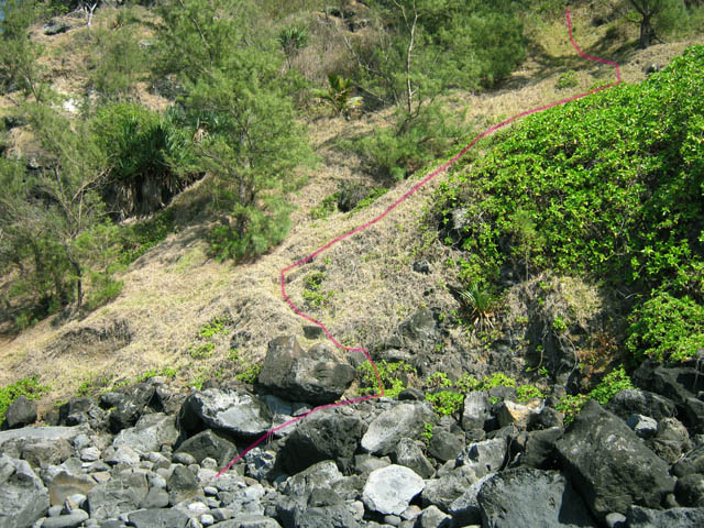 Le départ du sentier, 100 mètres après la Vierge