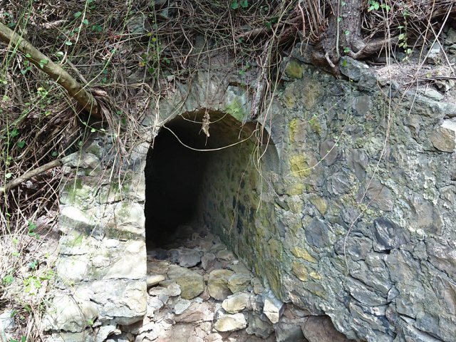 Ponceau du Bras de la Ravine des Chèvres
