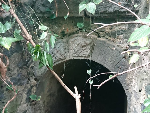 Ponceau ferroviaire vers la Ravine des Chèvres