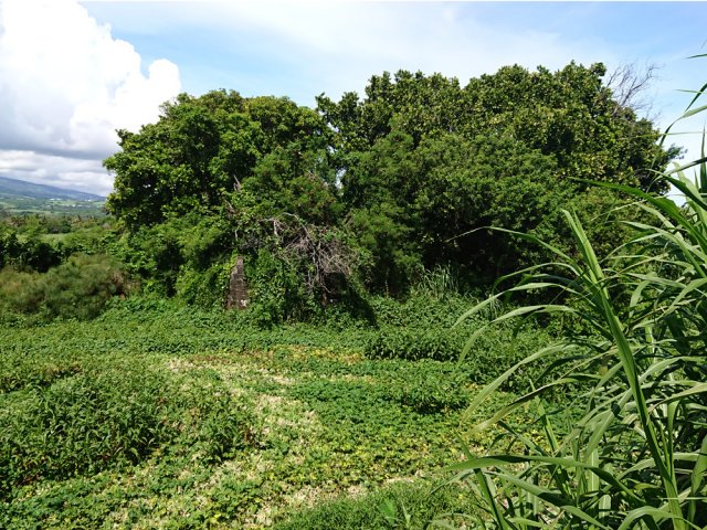 Culée de rive gauche de la Rivière Saint-Jean
