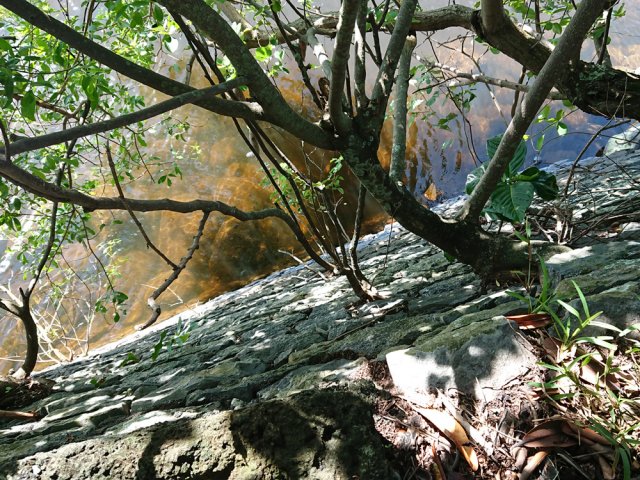 Culée de rive gauche de la Rivière Sainte-Suzanne