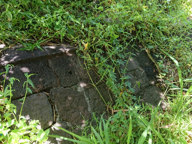 Vestiges du pont ferroviaire de la Rivière Saint-Jean