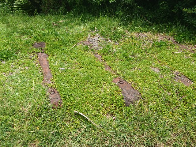 Vestiges de traverses métalliques sur le littoral de Saint-Benoît