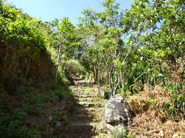 Une portion du GRR2 pour atteindre le Plateau l'Epicerie