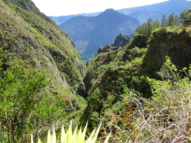 L'étroite vallée de la Ravine des Orangers