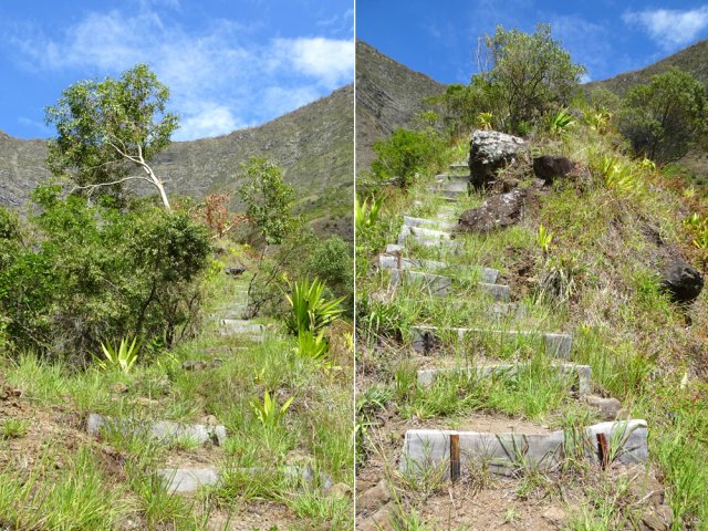 Le sentier comporte de fortes pentes facilitées par les marches en bois