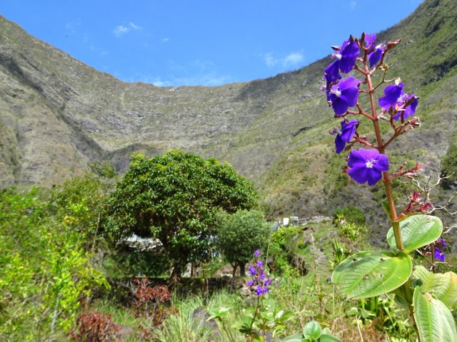 On approche des premières cases