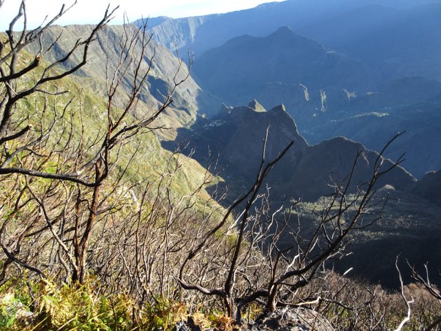 La Crête des Orangers à travers les branches calcinées