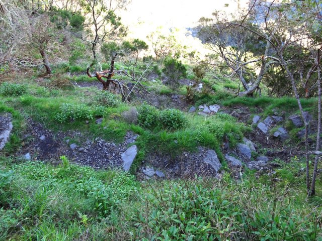Une bonne partie de la descente s'effectue sur des lacets serrés