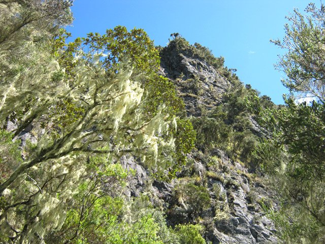 Bientôt la fin de la montée et l'arrivée au Col Choupette