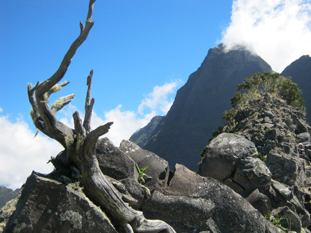 Des arbres ont même pu pousser un jour dans ces rochers