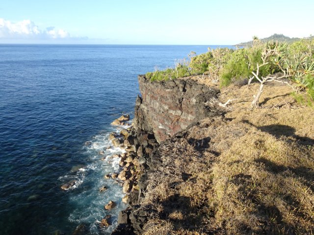 Le Cap Mascarin entouré de vacoas
