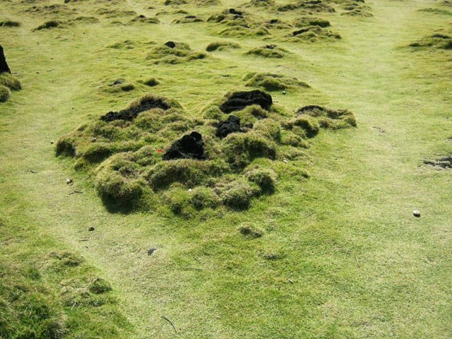 Le gazon pique-fesses du Cap Méchant