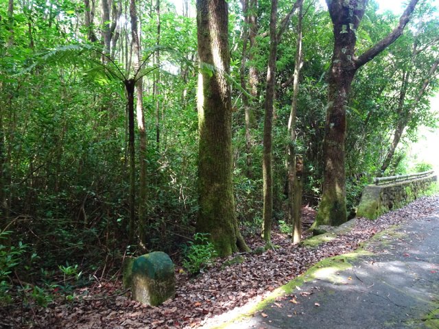 Début du GRR2 près du pont du Bras Plat