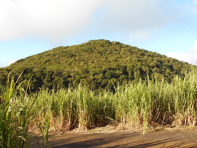 La face nord du Piton Bernard