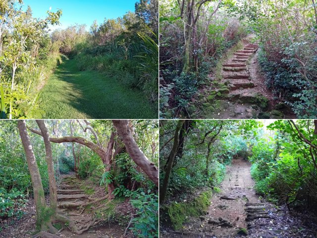 Quelques autres portions de ce beau sentier humide et parfois glissant