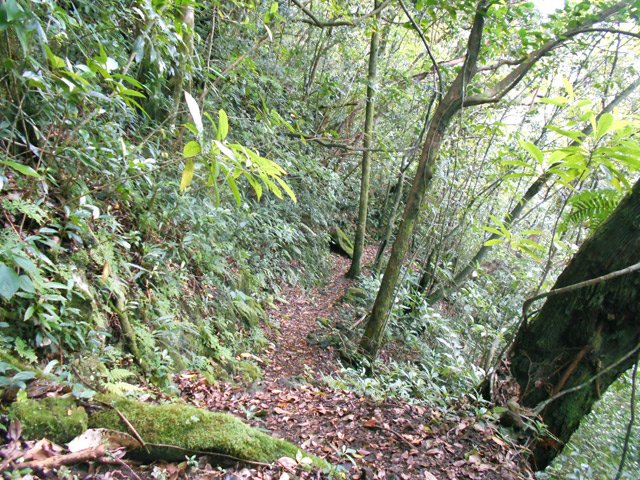 La descente en lacets vers la Ravine de Basse Vallée