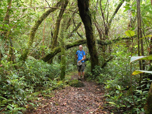 Rare portion plate de cette descente