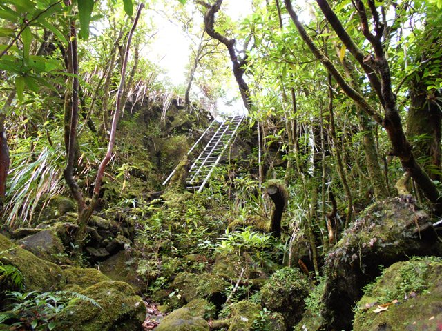 Passage de la grande échelle