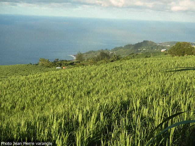 Le même panorama sur Vincendo quelques hectomètres plus loin