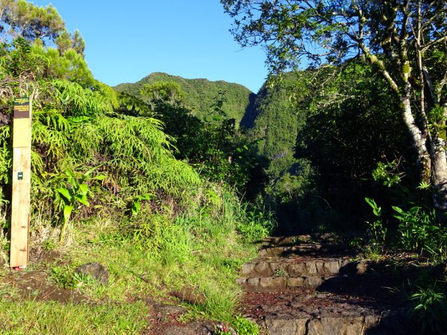 Le sentier débute par quelques marches