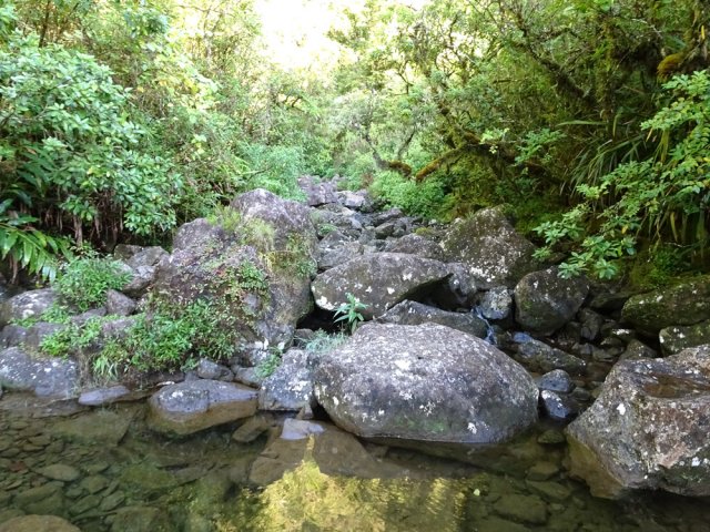 Le Grand Bras Patience vers la fin du sentier