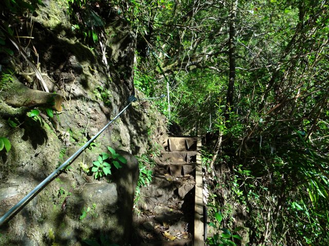 Tous les risques ont été supprimés