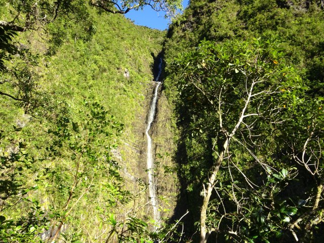 Les arbres cachent légèrement la vue sur la chute