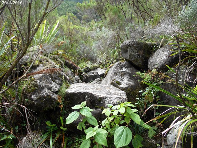 Le sentier sur les roches entourant le Bras d'Alix