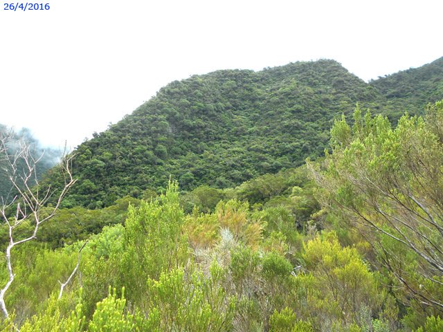 Vue sur la forte pente de la source