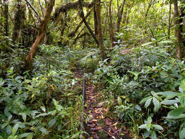 Fini de réfléchir, il faut suivre le tuyau