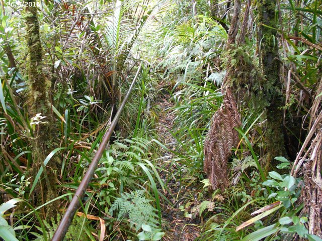 belle portion encore en bon état